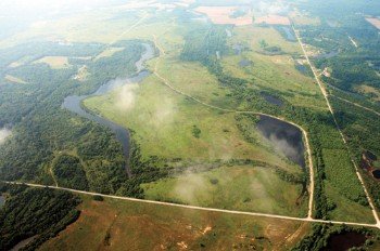 Property photo 18 - 1,025 Acres in 24 Tracts - Exellent Recreation Opportunity - Potential Building Sites - 11 Lakes & Ponds